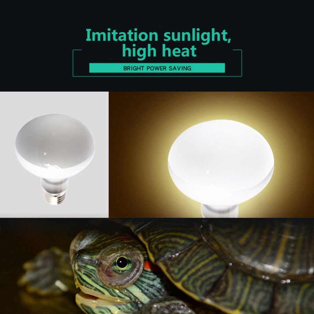 Basking Bulb Halogen - Regolatore di Temperatura per Tartarughe, Lampada