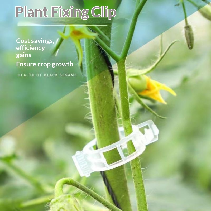Vine Climbing Plastic - Clip di Supporto per Piante in