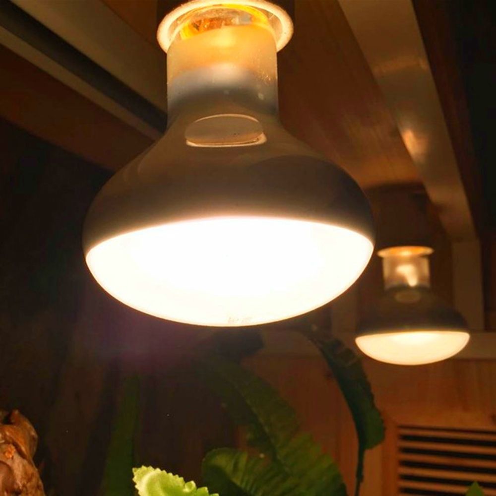 Lampada Riscaldante per Anfibi - Basking Bulb Halogen recensione e prezzo
