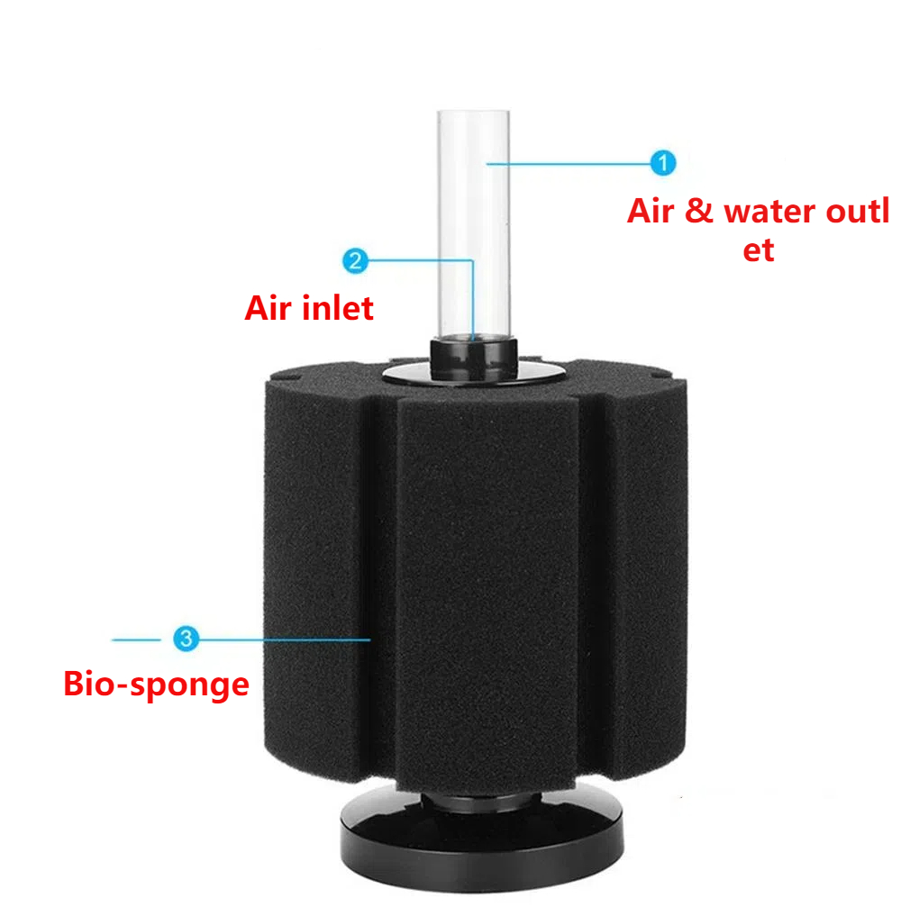Spugna filtrante per acquario  - Aquael Filter Fzn recensione e prezzo