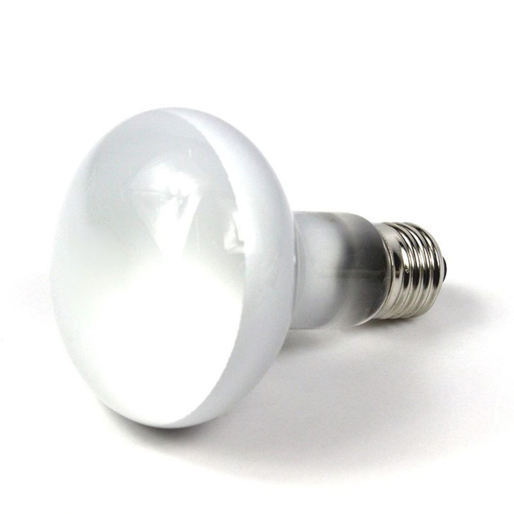 Lampada Riscaldante per Tartar - Basking Bulb Halogen recensione e prezzo