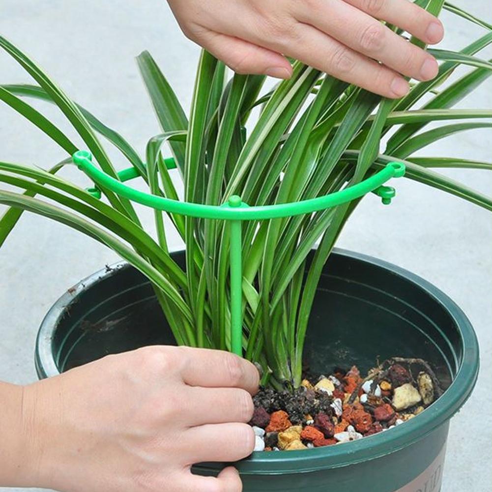 Supporto Regolabile per Piante - Vine Climbing Plastic recensione e prezzo
