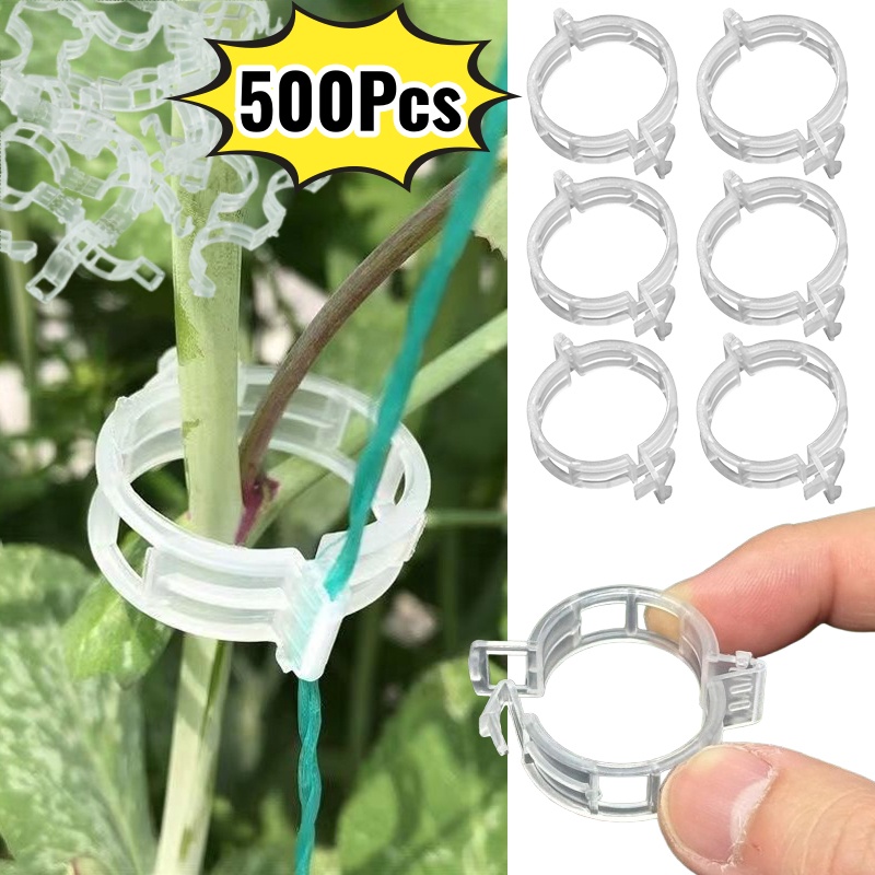 500 Pezzi Clip di Supporto in  - Vine Climbing Plastic recensione e prezzo