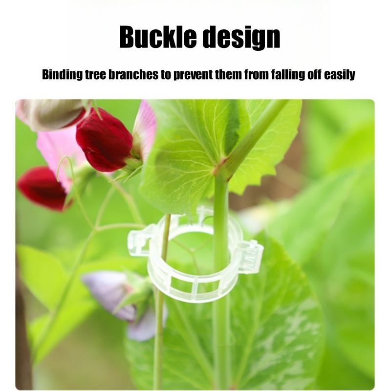 500 Pezzi Clip di Supporto in  - Vine Climbing Plastic recensione e prezzo