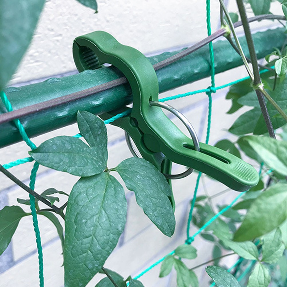 60 Pezzi Clip per Piante da Gi - Vine Climbing Plastic recensione e prezzo