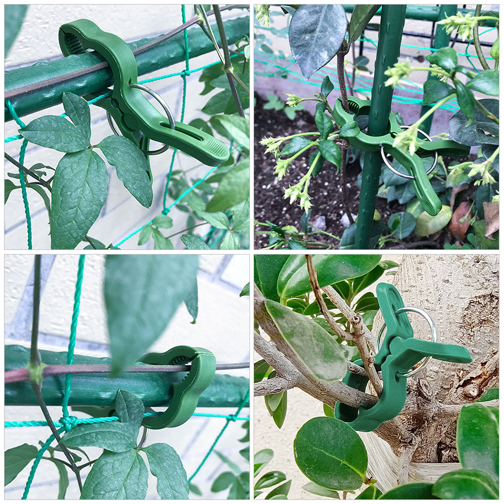 60 Pezzi Clip per Piante da Gi - Vine Climbing Plastic recensione e prezzo
