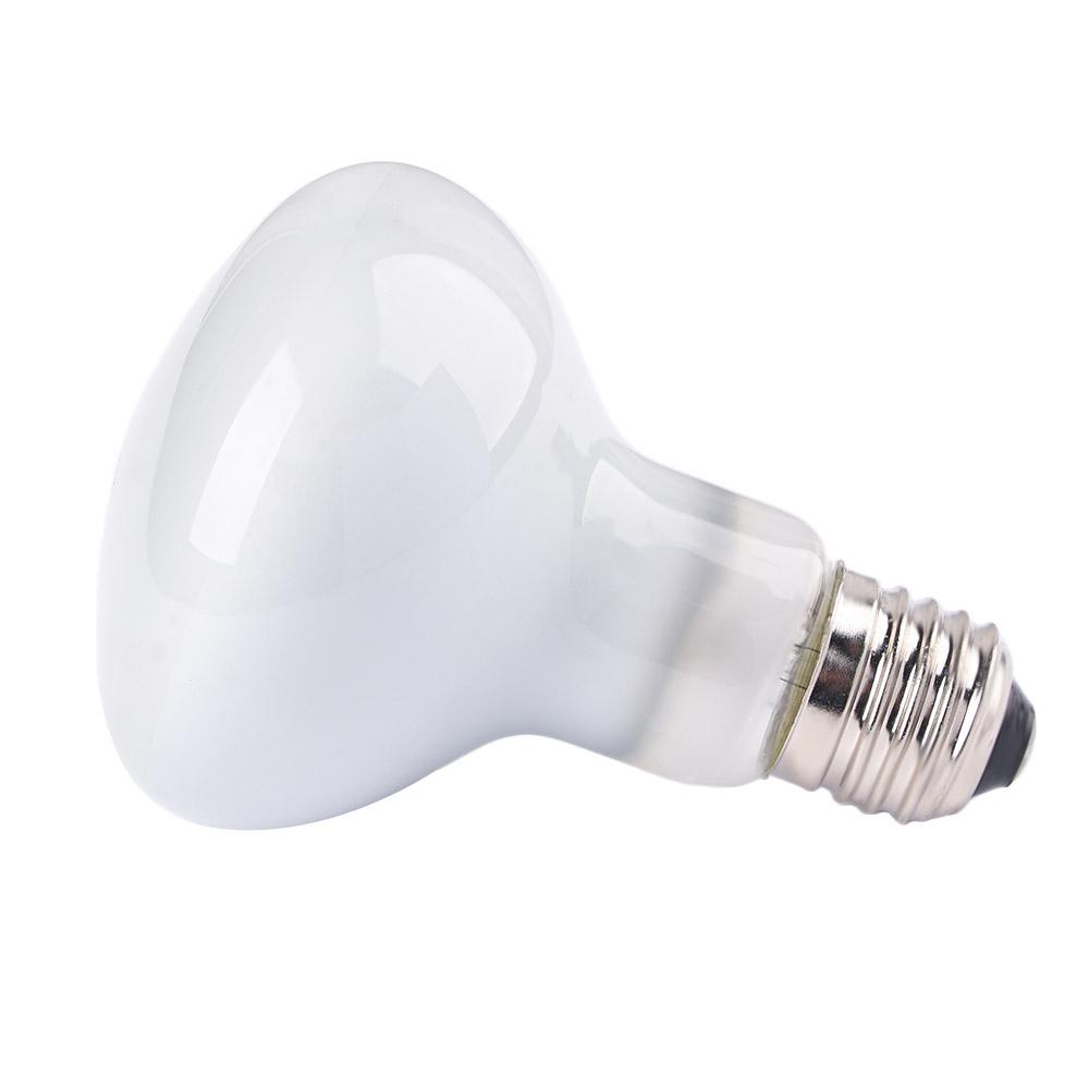 Regolatore di Temperatura per  - Basking Bulb Halogen recensione e prezzo