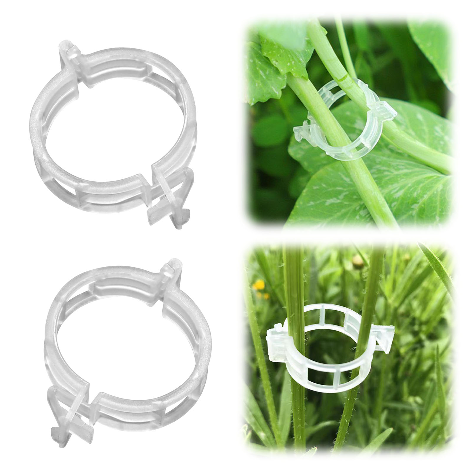 Clip in Plastica Sicure per Pi - Vine Climbing Plastic recensione e prezzo