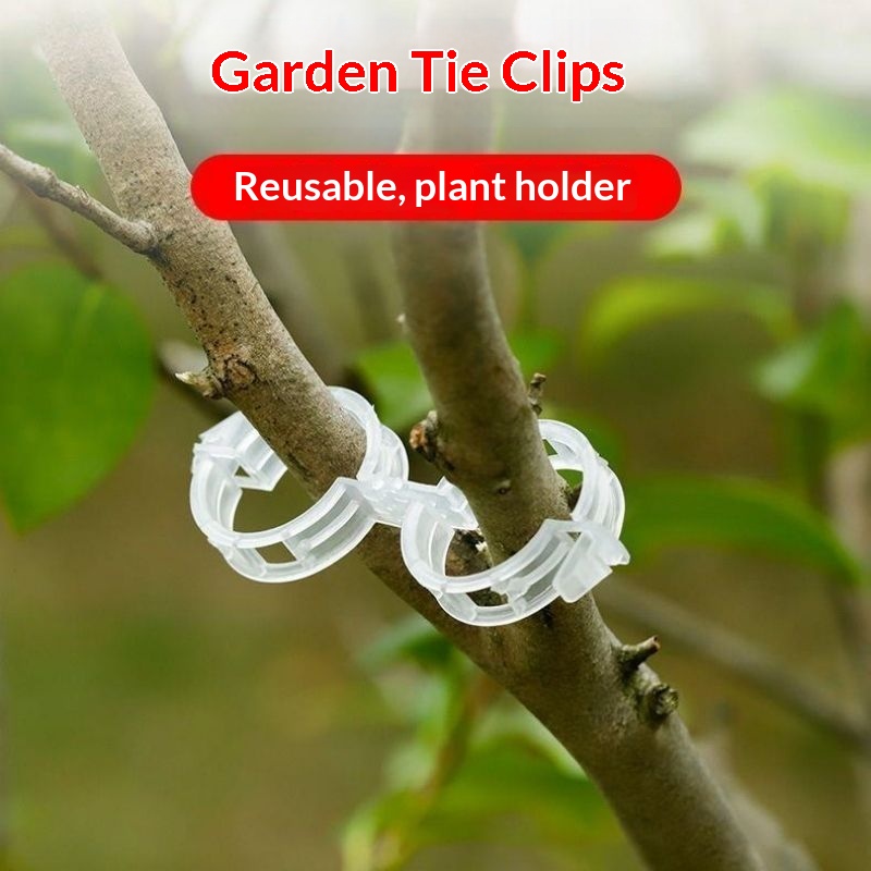 Clip di Supporto per Piante in - Vine Climbing Plastic recensione e prezzo